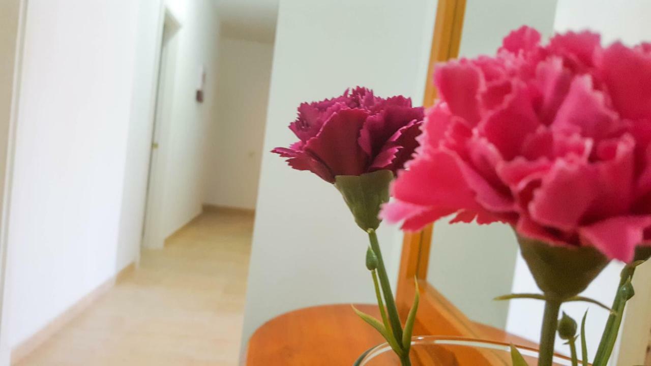 Atico Gran Tarajal Apartment Ngoại thất bức ảnh